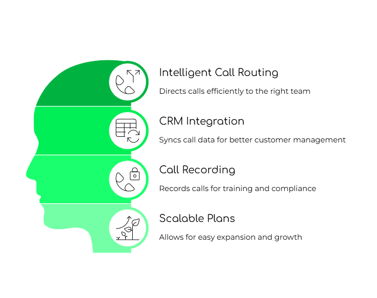 Features of VOIP number