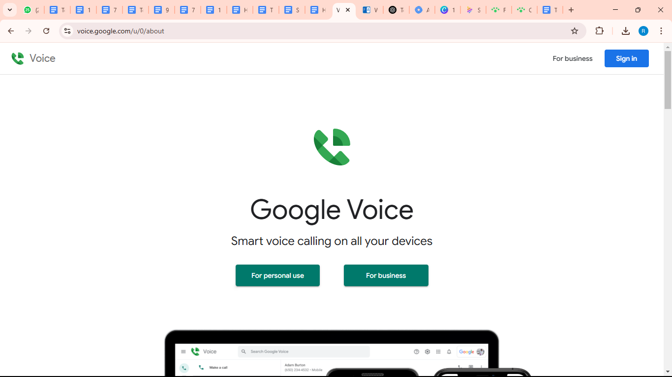 Google voice